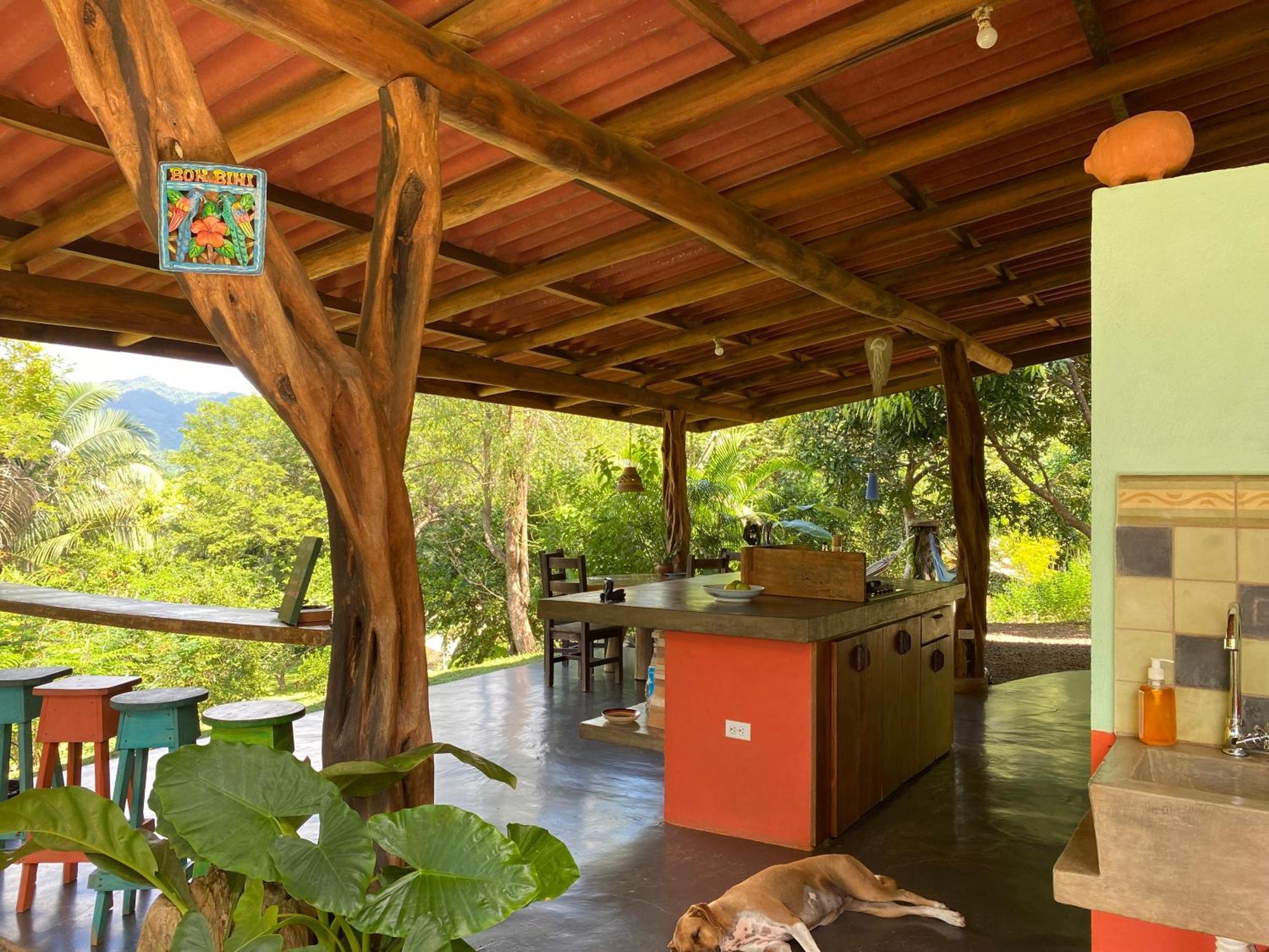 Alouatta Playa Coyote Hostel San Francisco de Coyote Bagian luar foto